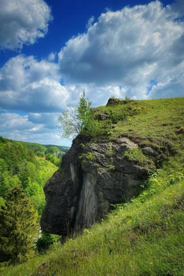 Apartamento Steinberg-Blick Herzberg am Harz Exterior foto